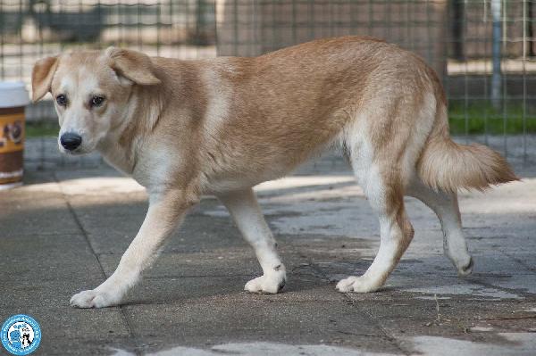 Pimpa, la timidezza che chiede tempo.. Foto 3